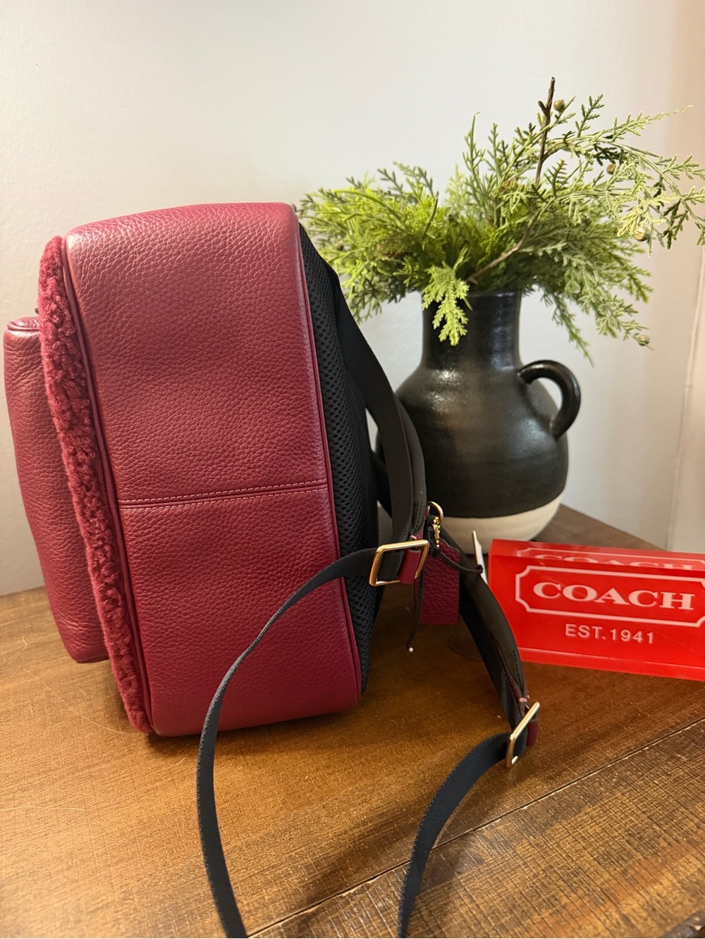Coach Shearling Court Backpack - Picture 3 of 14